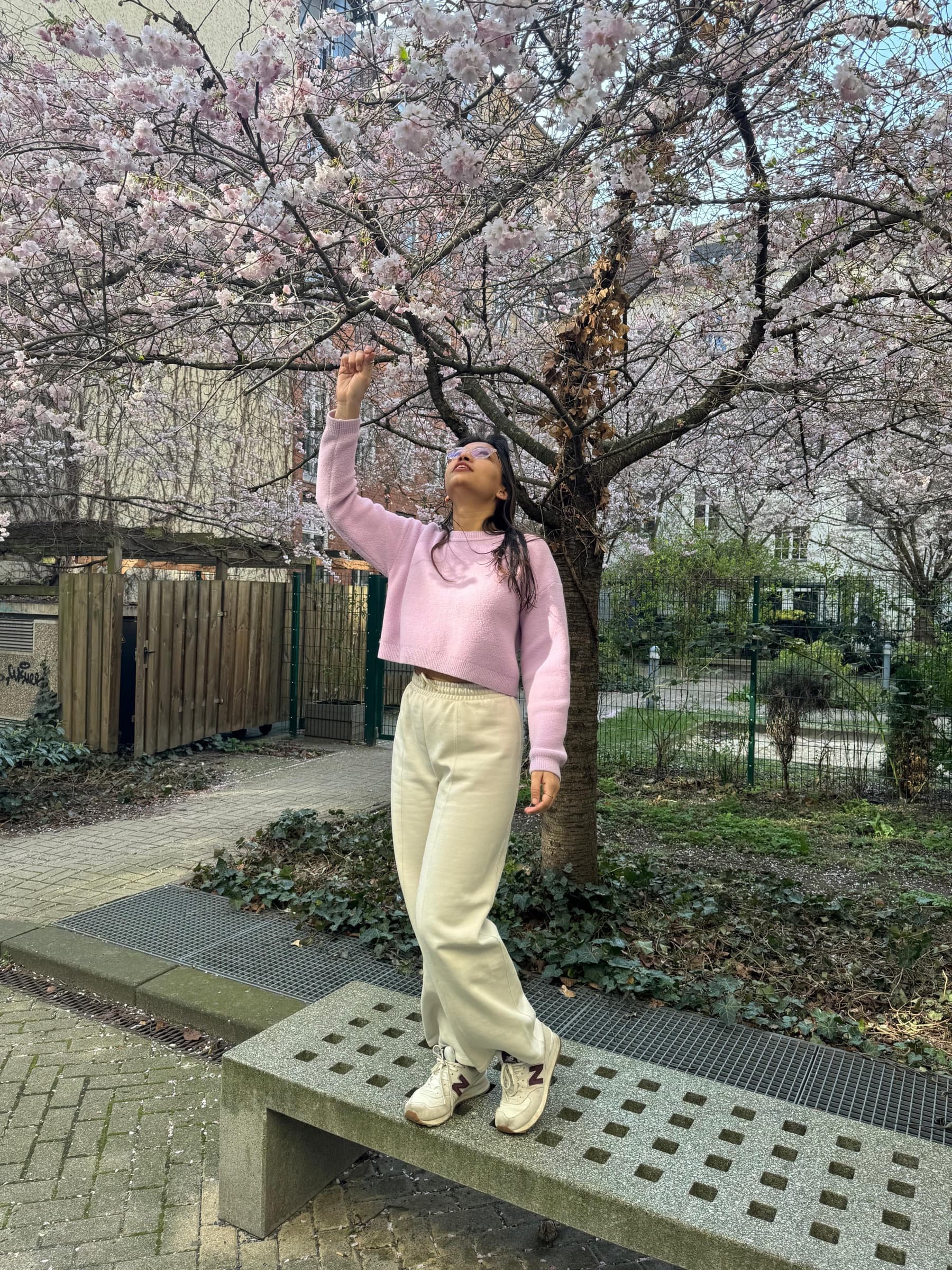 Berlin · cherry blossom