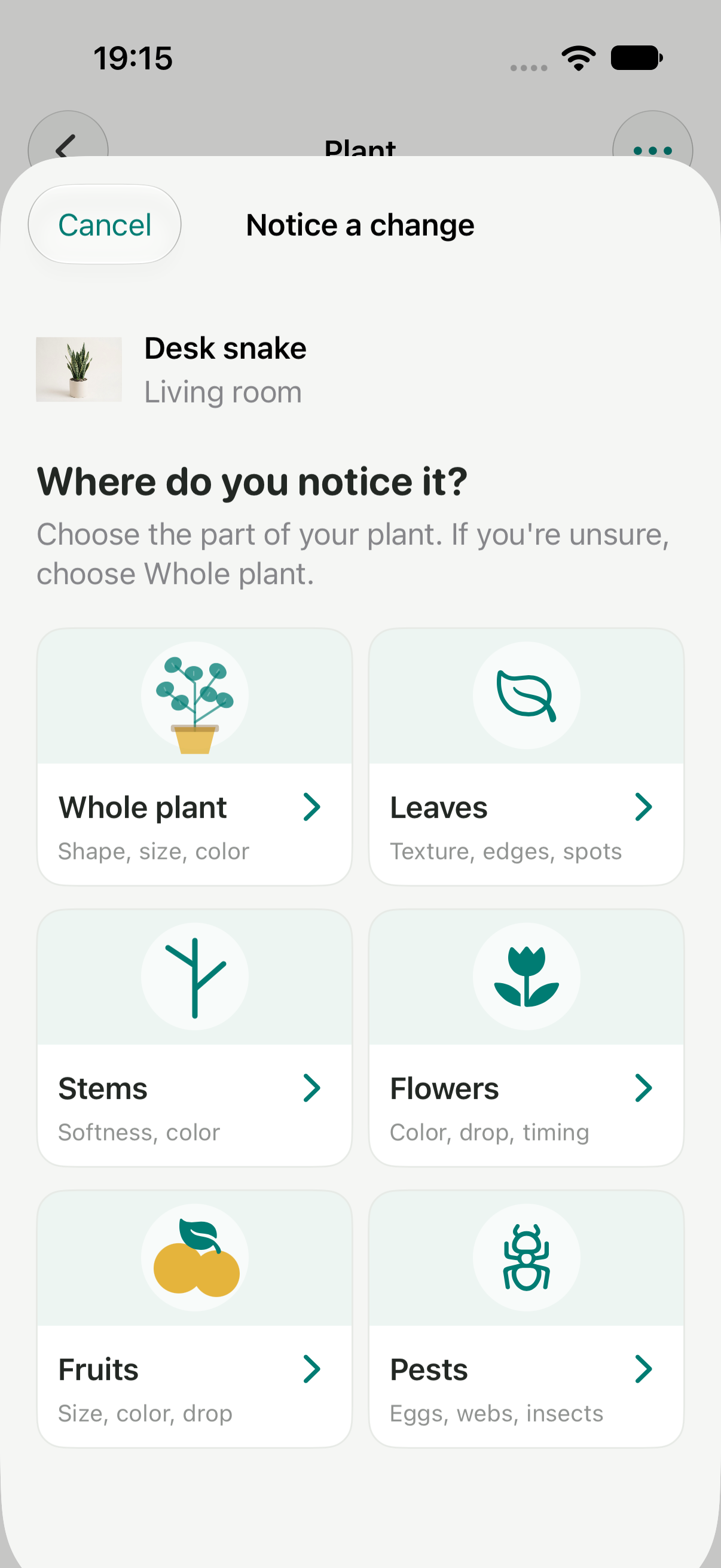 Native observation screen using visual cards to choose the affected area